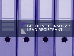 GESTIONE CONSORZI / LEAD REGISTRANT