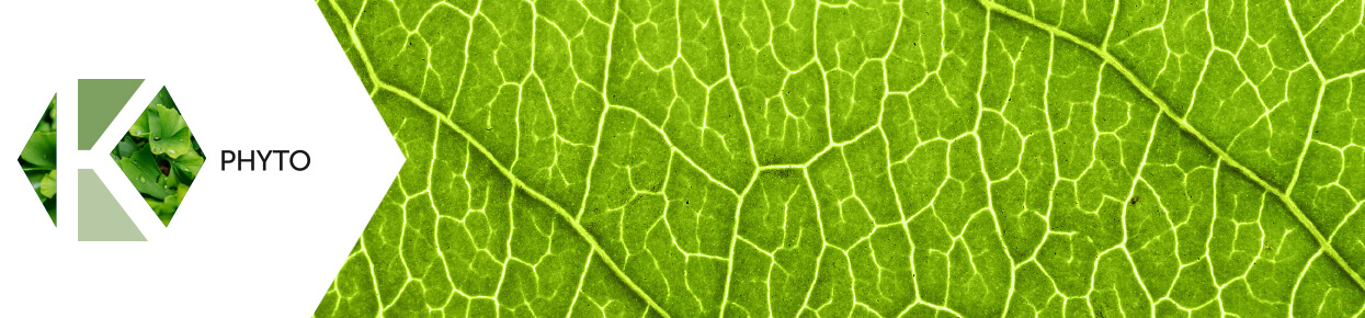 PHYTO