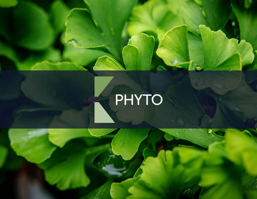 PHYTO